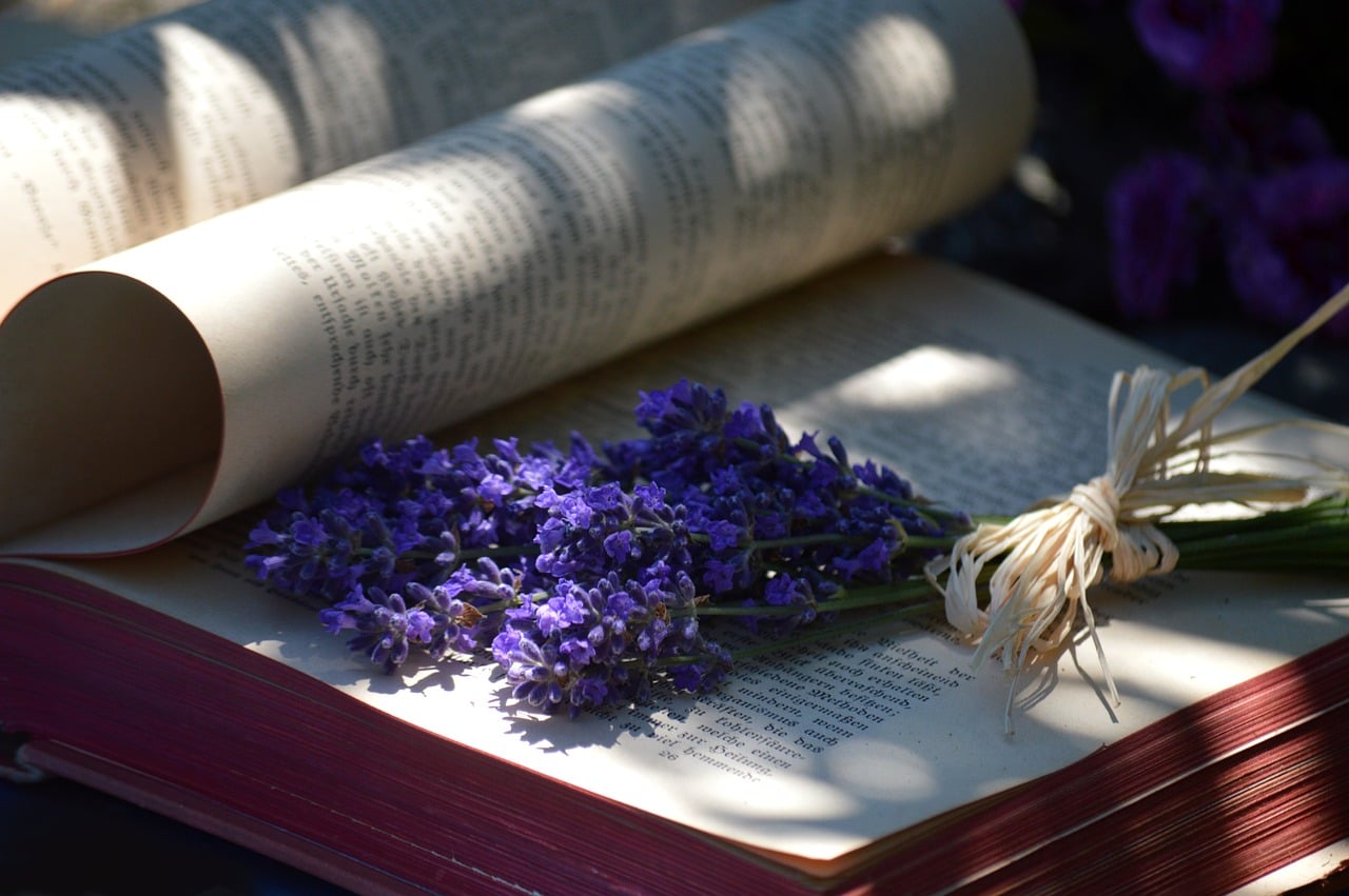 Lavender Oil vs Lavandin Oil: Price, Scent, and Best Uses Compared
